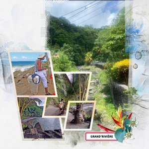 Martinique 44