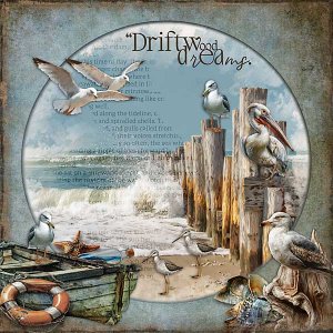 Driftwood Dreams