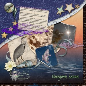 Sturgeon Moon (take two).jpg