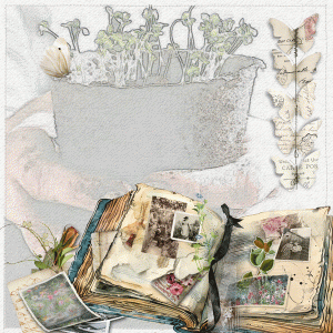 The Journal/Anna Lift