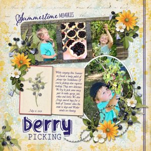 Berry Picking