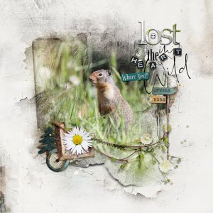 Lost in the Wild