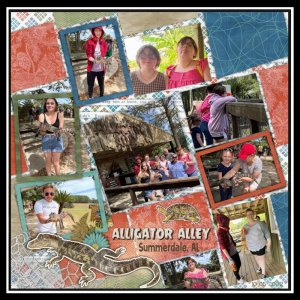 Alligator Alley