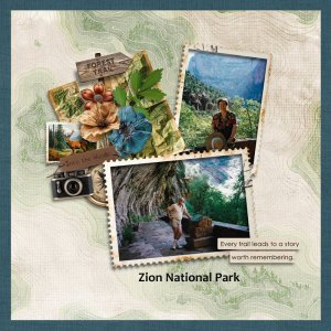 Palvinka_ForestTrail_Kay