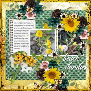 Beach-Dandies