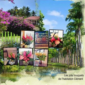 Martinique 53