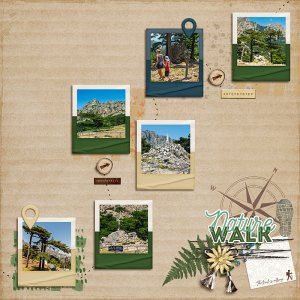 Nature Walk