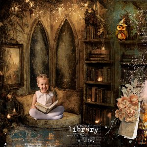 The Old Library