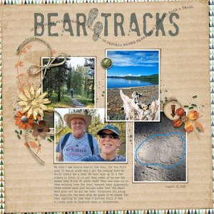 bear-tracks.jpg