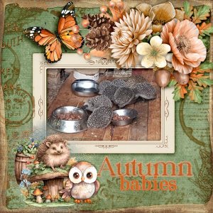 600-adbdesigns-forest-friends-pia-02.jpg