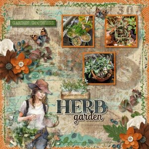 Herbs Galore