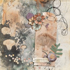 A Whimsical Adventure - August 2025 Challenge