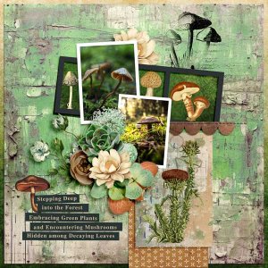 fungus-among-us-carol-w.jpg