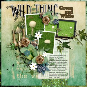 Wild-Thing