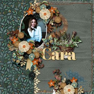Cara