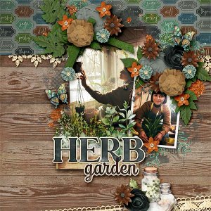 Herb Garden