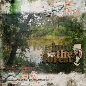 Into the Forest
