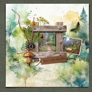 Into the Woods