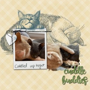 Cuddle Buddies.jpg