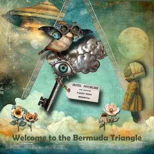 The Bermuda Triangle.jpg