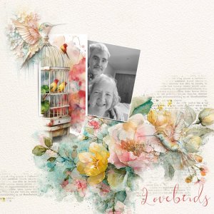 Lovebirds