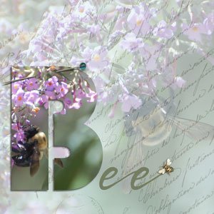 Bee.jpg