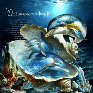 Dolphin Party