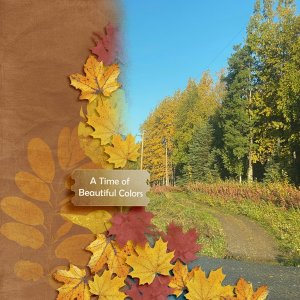 Sept-4-Color.jpg