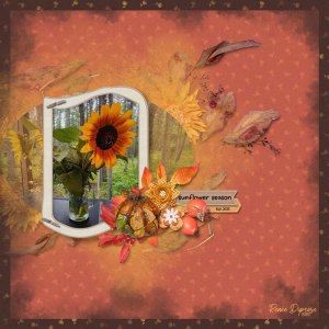 Sunflower Season