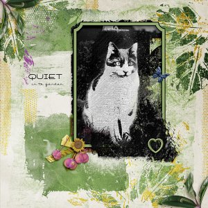Quiet in the garden