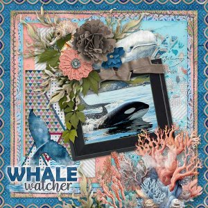 Whale Watcher