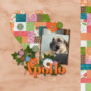 Apollo