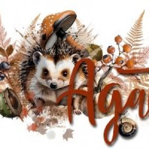 Signature - Fall.jpg