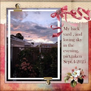 September 2025 Challenge #3 - Seasonal-My backyard and loving sky.jpg