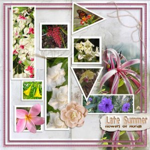 late-summer-flowers.jpg