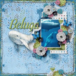 Beluga