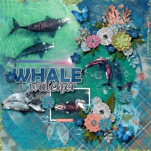 Whale Watcher