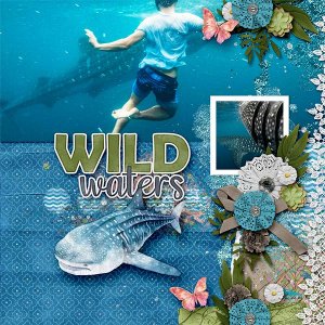 Wild Wonders