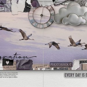 Migration
