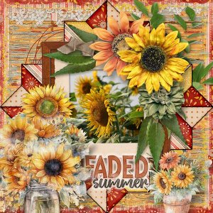 Faded Summer