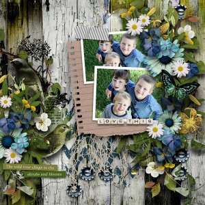 Template - Love this View!