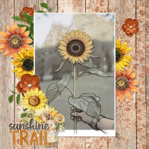 Sunflowers.jpg