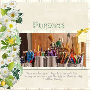Purpose.jpg