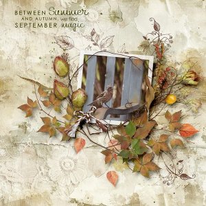 September Embrace