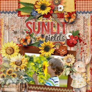 Sunlit Fields