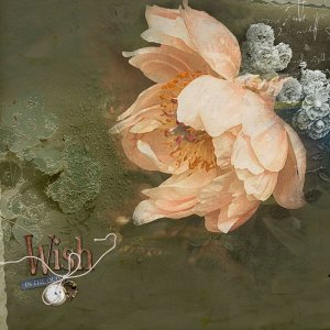 Peony