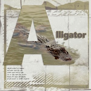 A-is-for-Alligator.jpg
