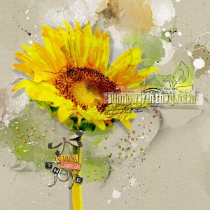 The Last Sunflower