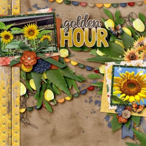 aimeeh-Sunflowers-1000.jpg