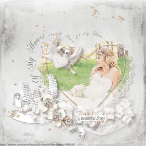 Beautiful Bride